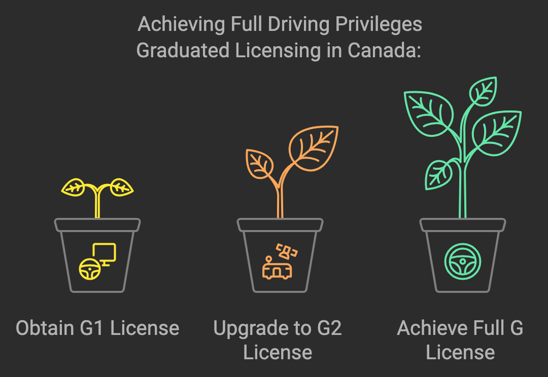 The Canadian graduated licensing program